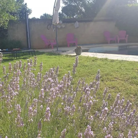 Apartment La Vigne Et L'olivier Villeneuve-les-Avignon