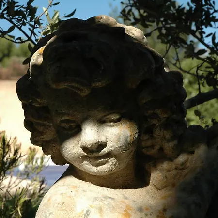 La Vigne Et L'olivier * Villeneuve-les-Avignon